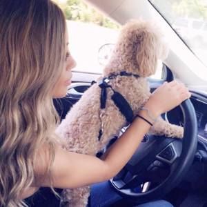 Meet your Posher, Ayat